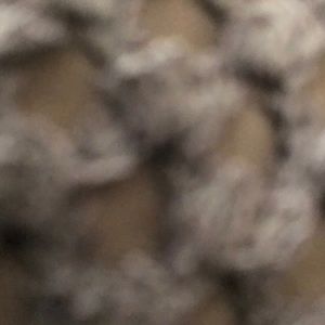 Meet your Posher, Cameron